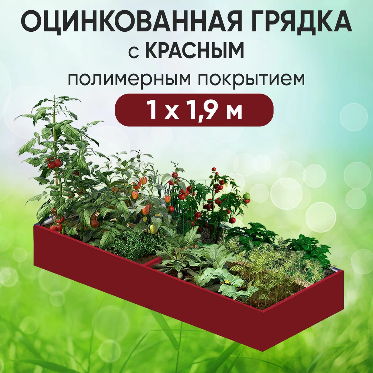 Грядка красная (1 х 1,9)