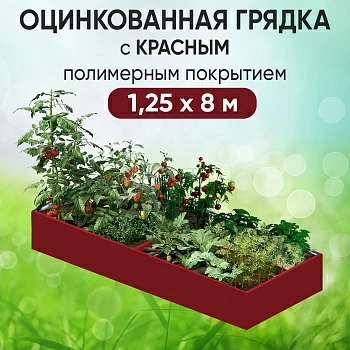 Грядка красная (1,25 х 8)