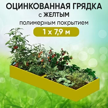 Грядка желтая (1 х 7,9)