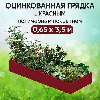 Грядка красная (0,65 х 3,5)