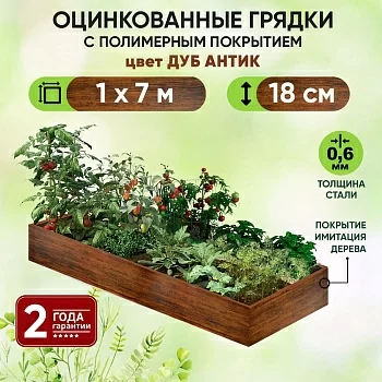 Грядка Дуб Антик (1 х 7)