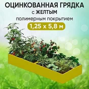 Грядка желтая (1,25 х 5,8)